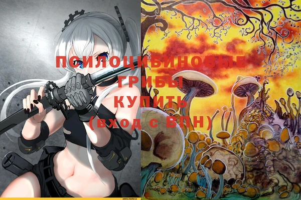 ПСИЛОЦИБИНОВЫЕ ГРИБЫ Аркадак
