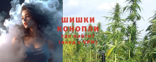 дмт Арсеньев