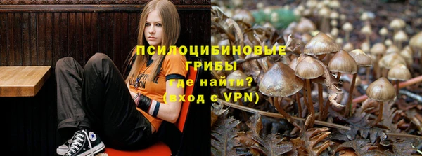 ПСИЛОЦИБИНОВЫЕ ГРИБЫ Аркадак