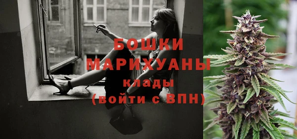 дмт Арсеньев